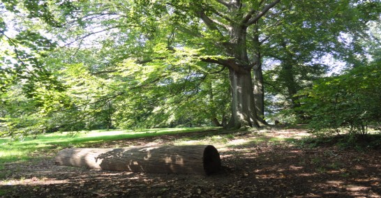 warande-park8.jpg